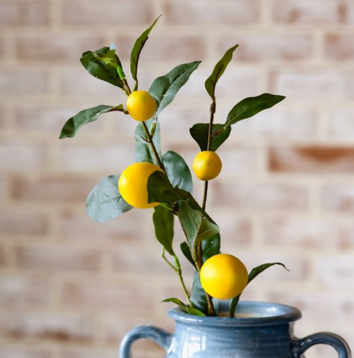 30" Lemon Stem