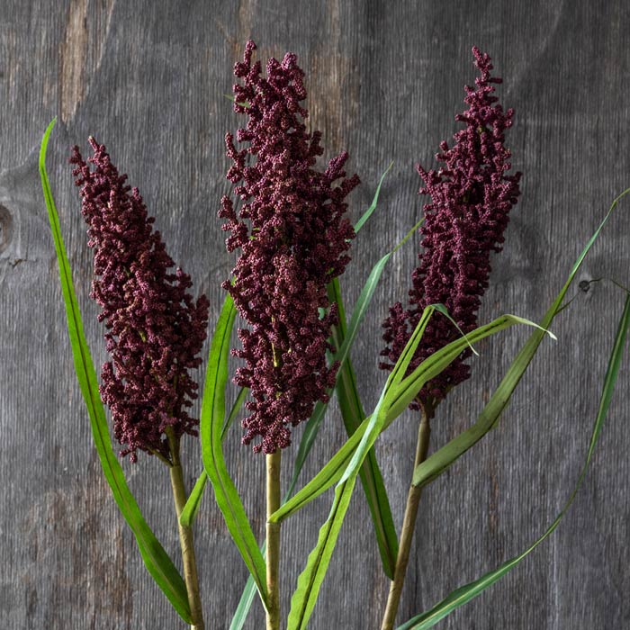 ARTIFICIAL WETLAND HEIRLOOM
