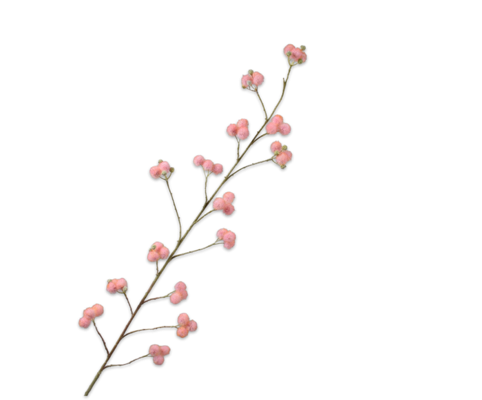 MIMOSA SPRAY, PINK