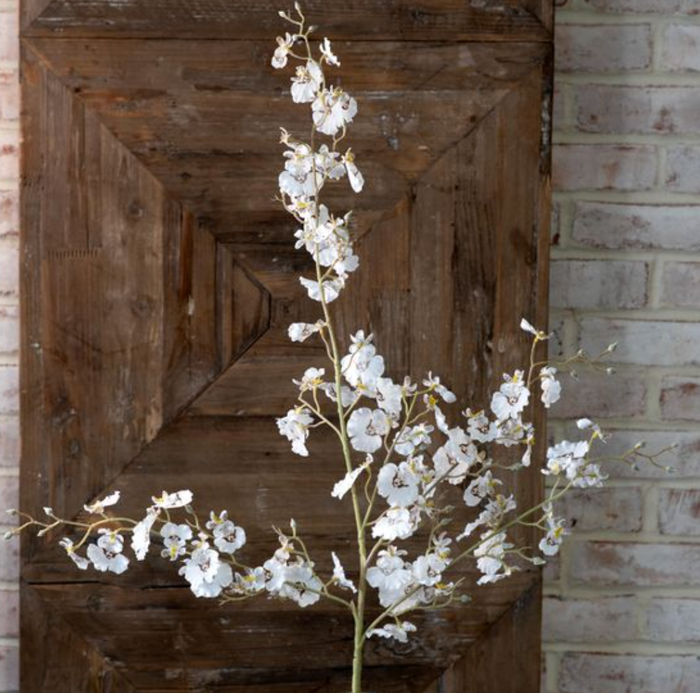 White Dancing Orchid Stem