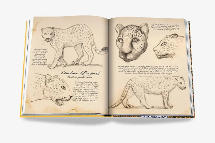 ARABIAN LEOPARD (CLASSIC)