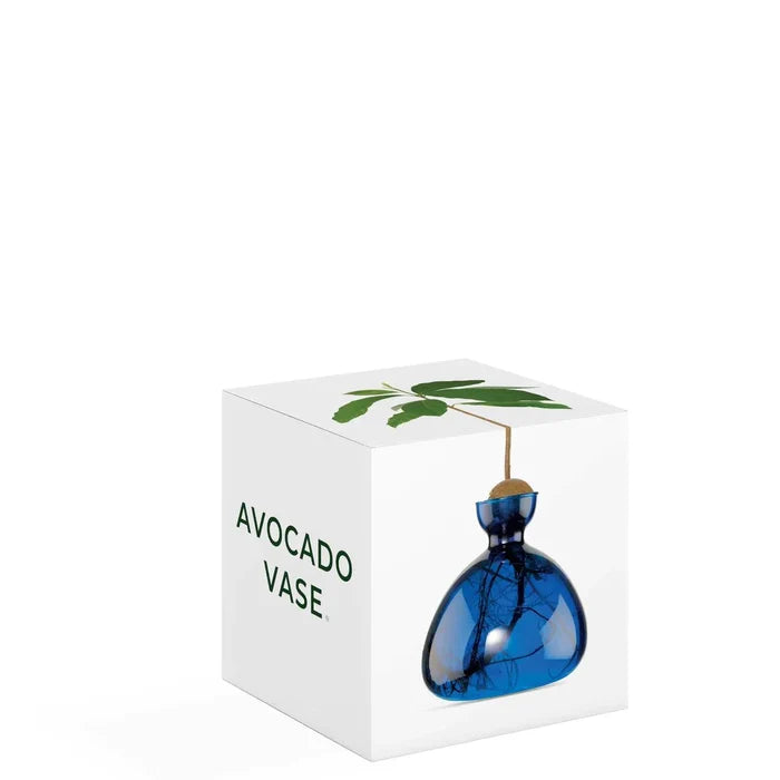 AVOCADO VASE COLOURED  LAPIS BLUE