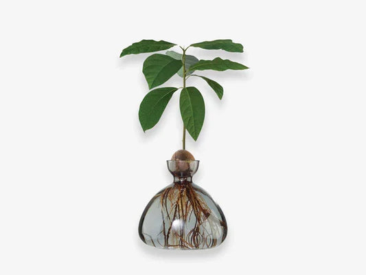 AVOCADO  VASE COLOURED  SMOKE GREY