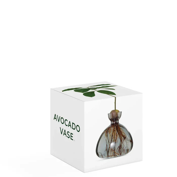 AVOCADO  VASE COLOURED  SMOKE GREY
