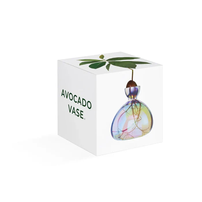 AVOCADO  VASE  COSMIC ASTRA