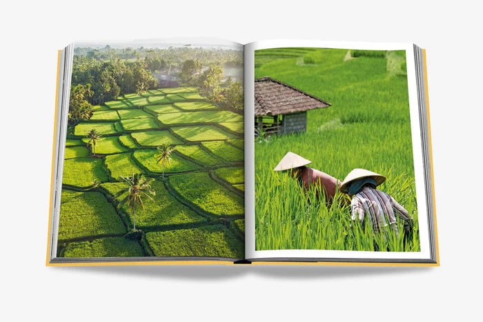 BALI MYSTIQUE