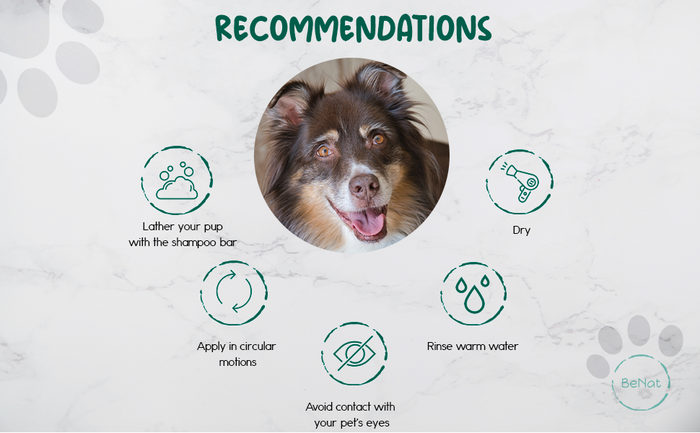Recommendations of BeNat Pets All-Natural Oat Pet Shampoo Bar 5.8 oz product box for dogs and cat