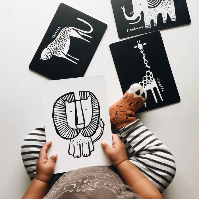 Coffret cadeau Wee Gallery - Safari - Lilinappy