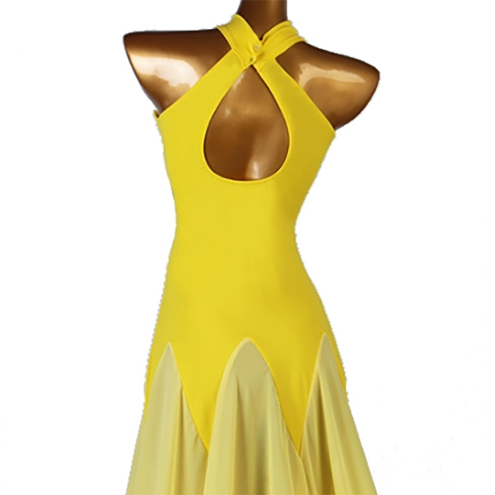 Customisable-Women's Sleeveless Modern Dance Performance Dress Ballroom Dance Dress