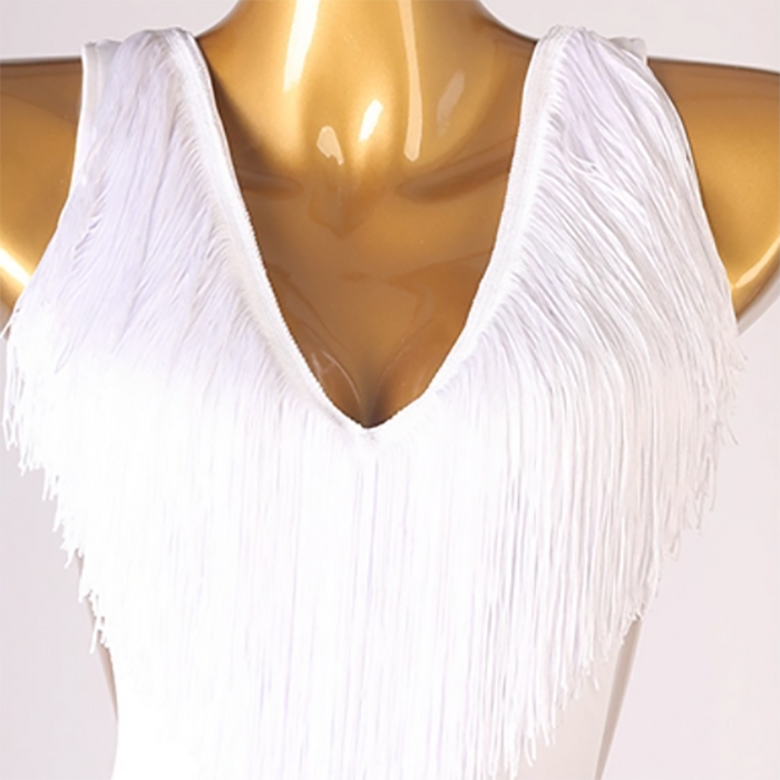 Customisable-Women's V-neck Sleeveless Performance Latin Dance Dress Dance Wear