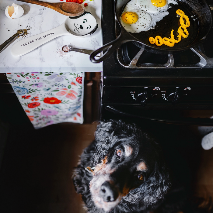 Dog Licked the Spoon Rest
