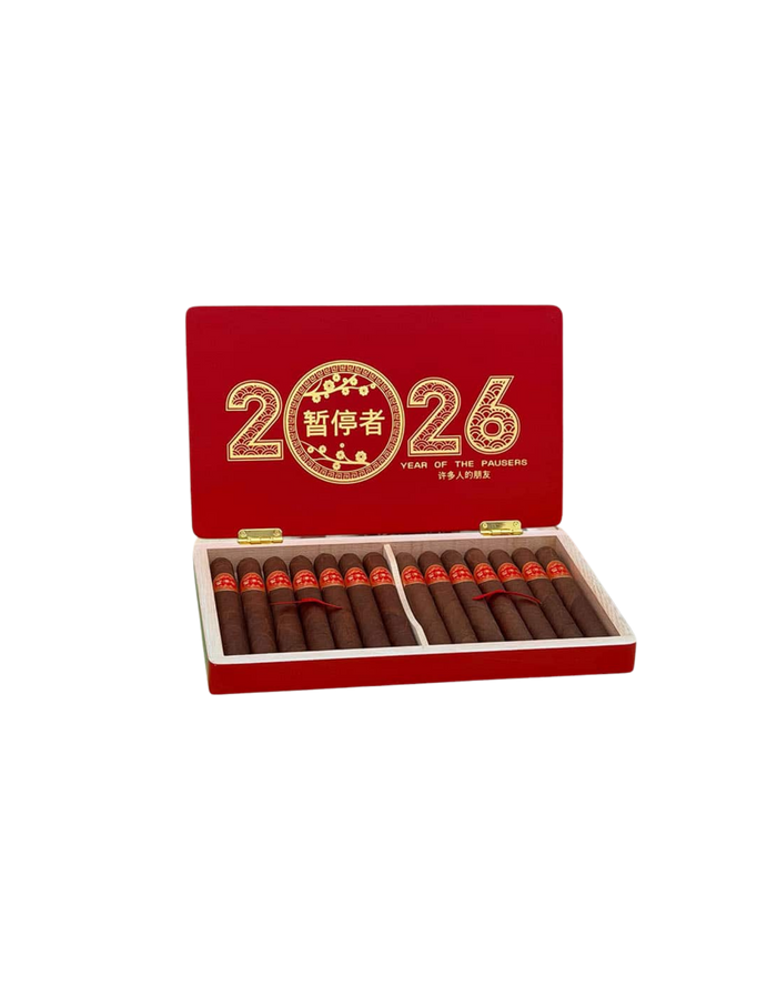 DTT Year of The Pausers 6 x 48