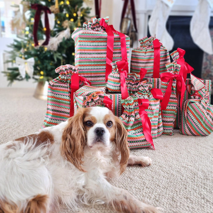 Waste Free Celebrations Fiesta (Reusable Gift Bag Set)