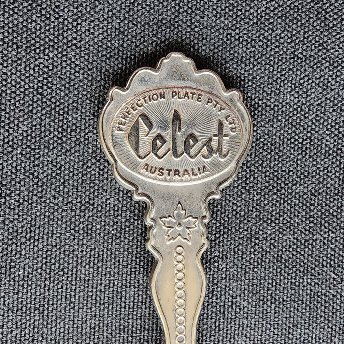 Grand Teton National Park Collector Souvenir Spoon 5" Silver Plated by Celest