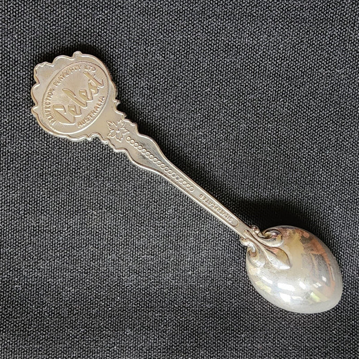 Grand Teton National Park Collector Souvenir Spoon 5" Silver Plated by Celest