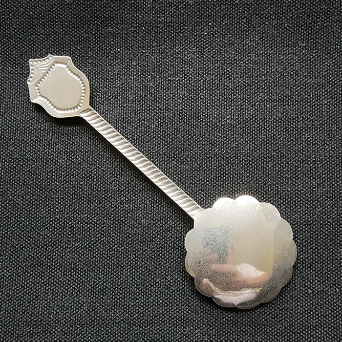 Houston Texas Collectible Souvenir Spoon 4.25" (11cm)