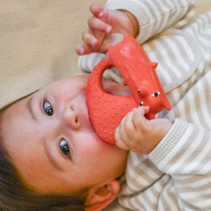 Jouet de dentition Oli & Carol - Cyril l’Écureuil-Renard
