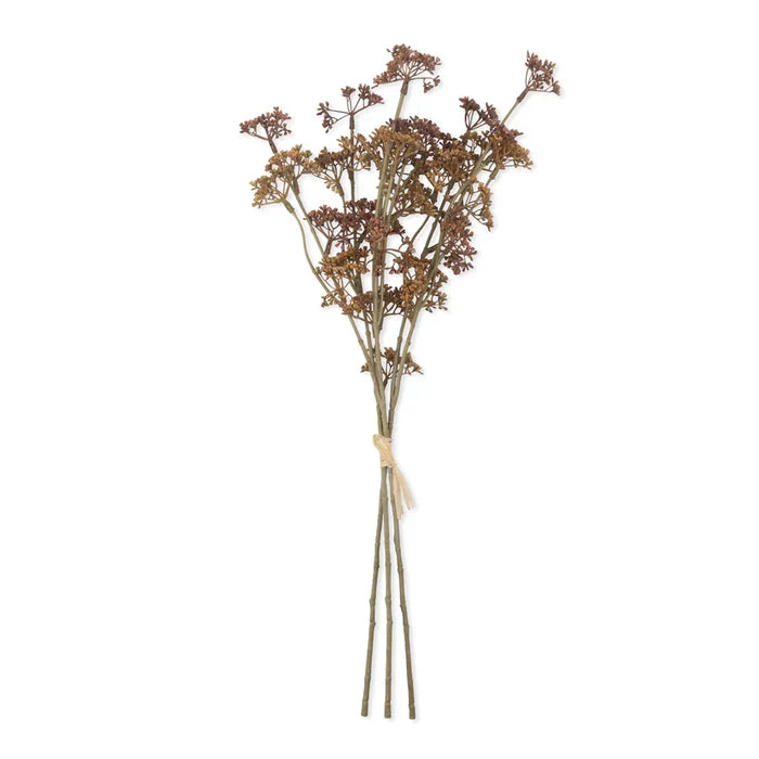 MEADOW SEDGE STEM - NATURAL