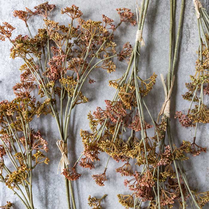 MEADOW SEDGE STEM - NATURAL