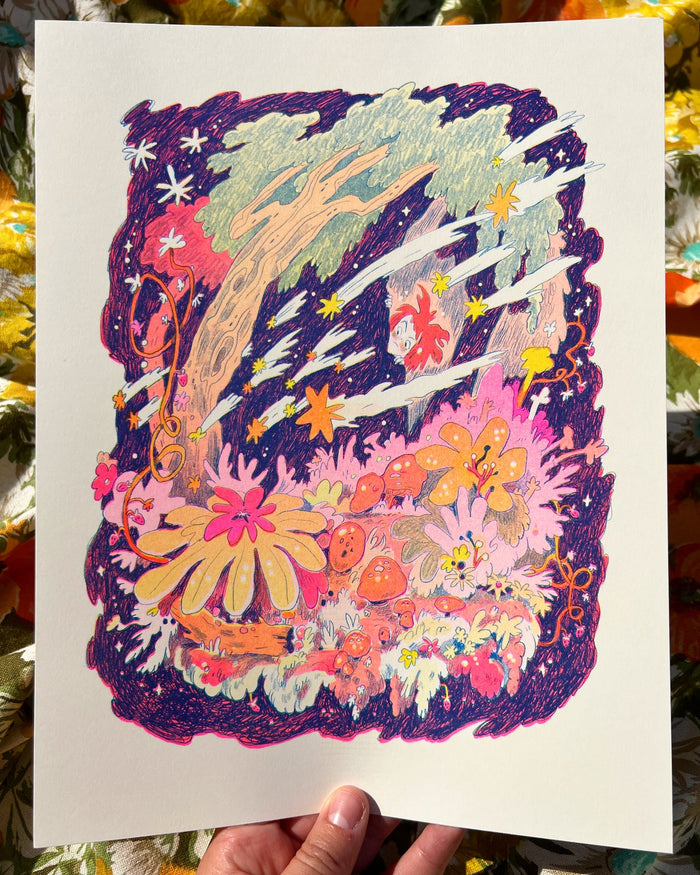 Spirit of the Shooting Stars (Edition 3)