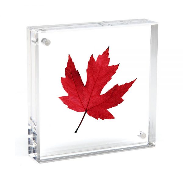 ORIGINAL SQUARE MAGNET FRAME - CLEAR, 8" X 8"