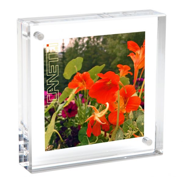 ORIGINAL SQUARE MAGNET FRAME - CLEAR, 8" X 8"