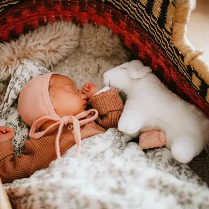 Peluche musicale en coton bio & laine Senger Naturwelt - Mouton