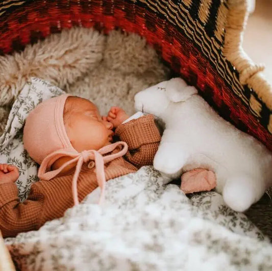 Peluche musicale en coton bio & laine Senger Naturwelt - Mouton