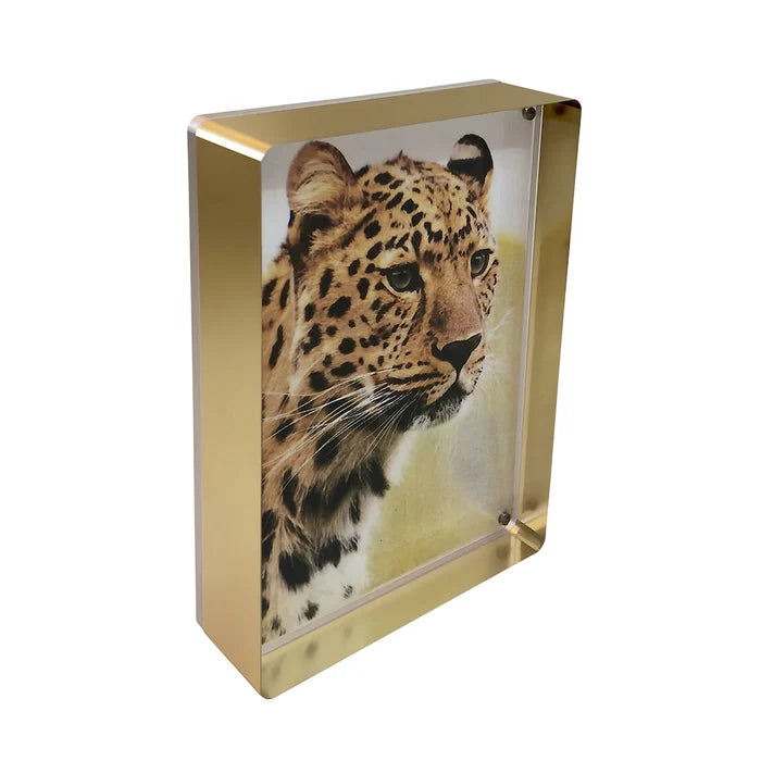 PRESTIGE MAGNET FRAME - GOLD, 5" X 7"