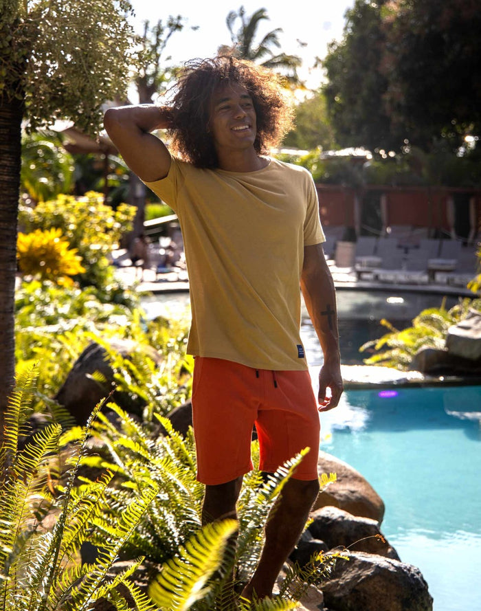 t-shirt plaincurry PULLIN en coton