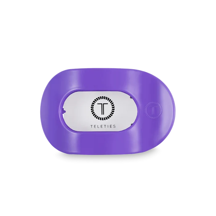 Teletie Rounded Flat Clips {Summer Collection}