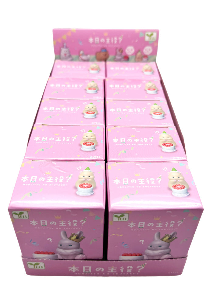 Yell Japan Today's Star Animal Birthday 10pc Blind Box Set in multi — full set of 10 kawaii animal birthday figurines with display box imported from Japan — display box view