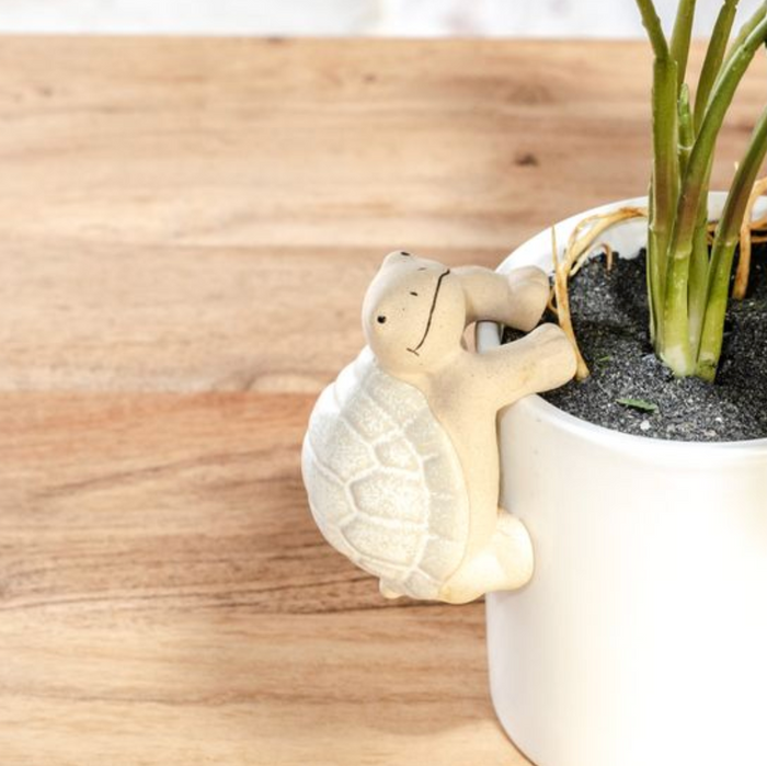 Turtle Pot Hanger