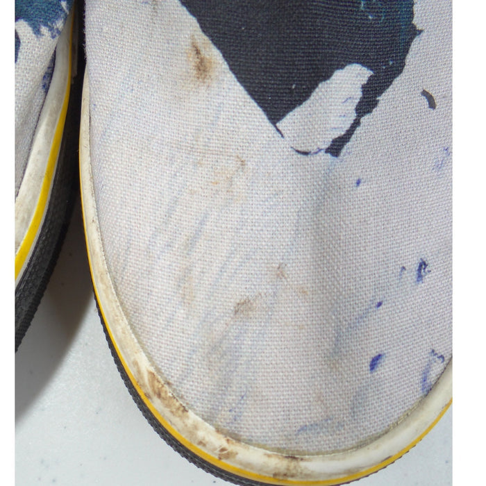 Vans x National Geographic Slip On Greenland Glacier Shoes Mens 6 Womens 7.57
