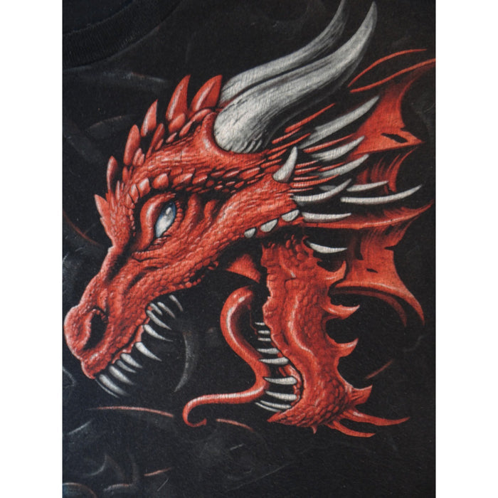 Vintage Men's Black Dragon Graphic T Shirt Fire Ice Mythical Fantasy Shirt5