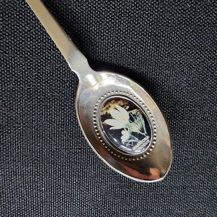 Winnipeg Canada Collectible Travel Souvenir Spoon Prairie Province Silver Plated