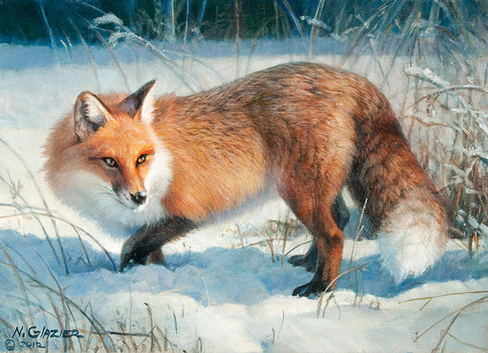 Winter Fox by Nancy Glazier