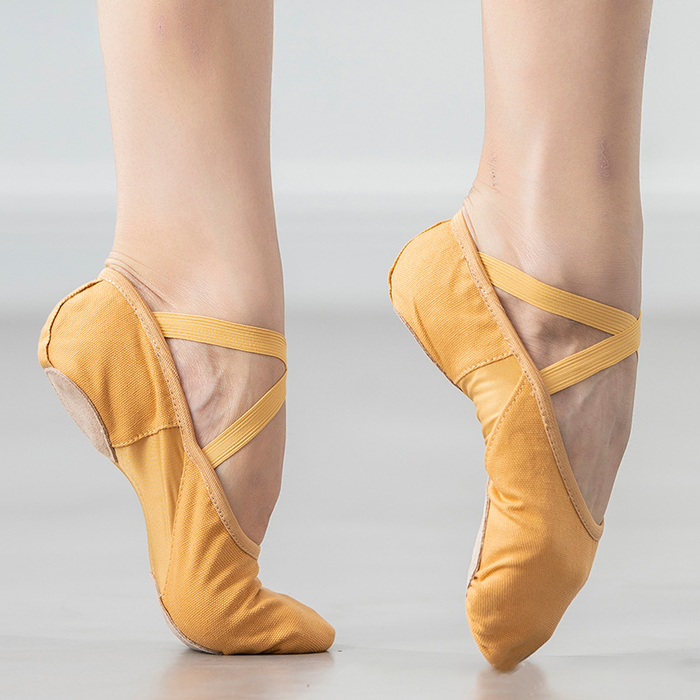 Women's Split-Sole Stretch Canvas Ballet Shoe