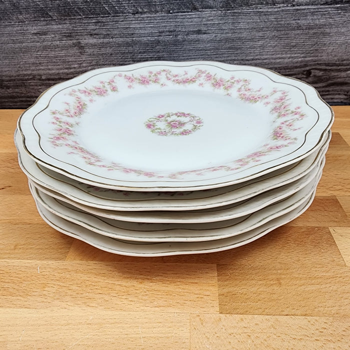ZSC41 Luncheon Plates Set of 5 Scalloped, Pink Roses White ZS & Co Scherzer