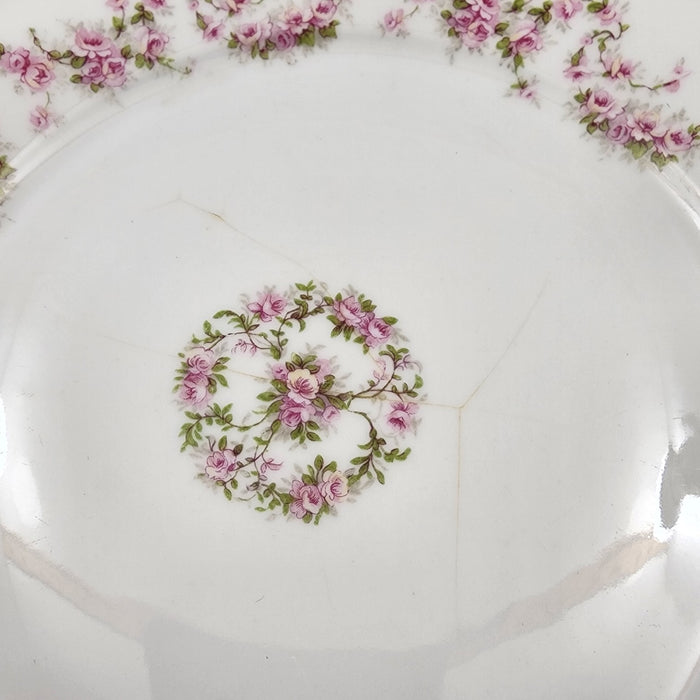 ZSC41 Luncheon Plates Set of 5 Scalloped, Pink Roses White ZS & Co Scherzer